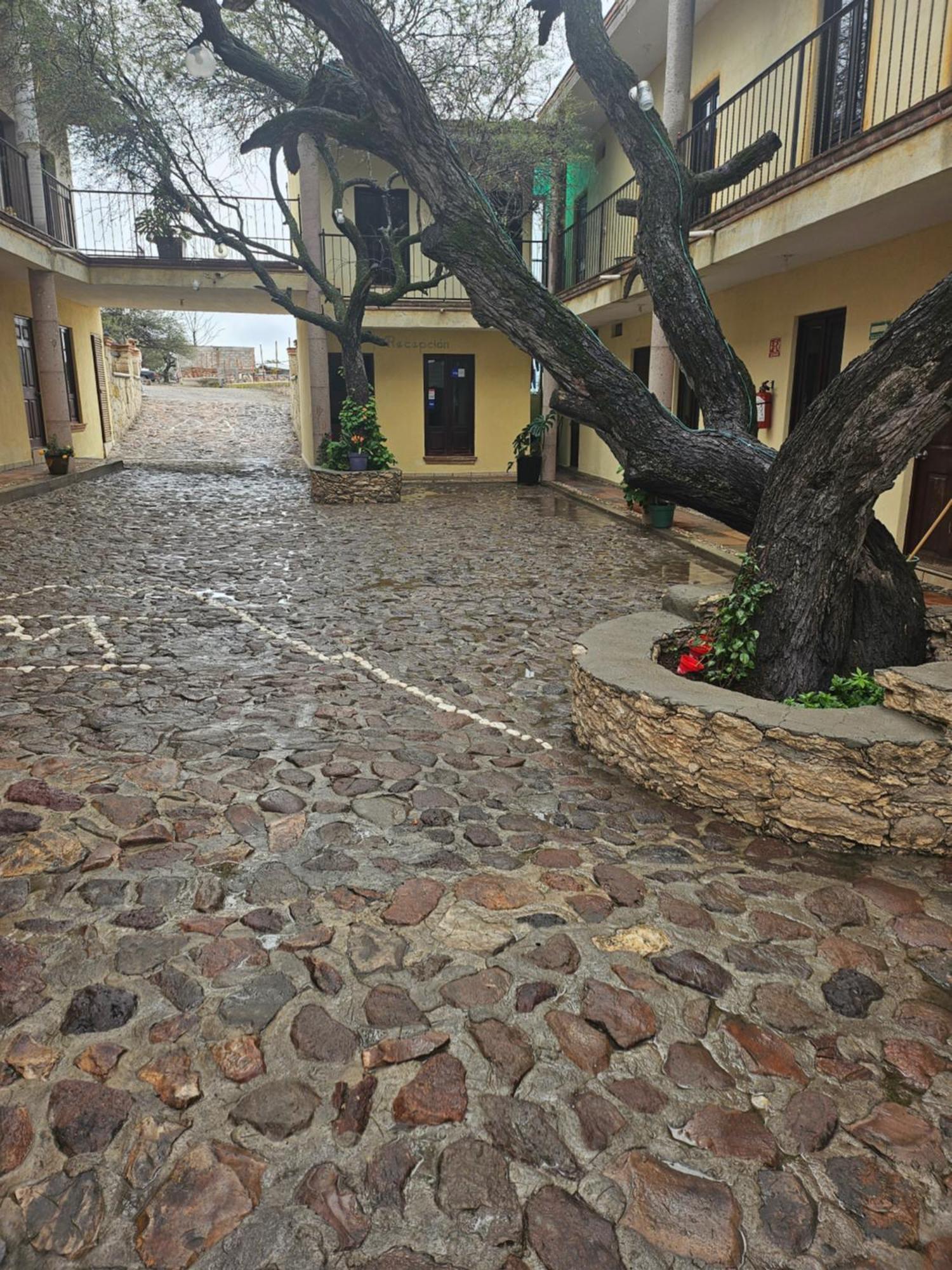 Hotel Villa Aurora Bernal Kültér fotó